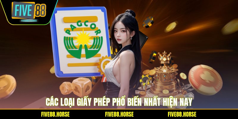 Các loại giấy phép phổ biến nhất hiện nay